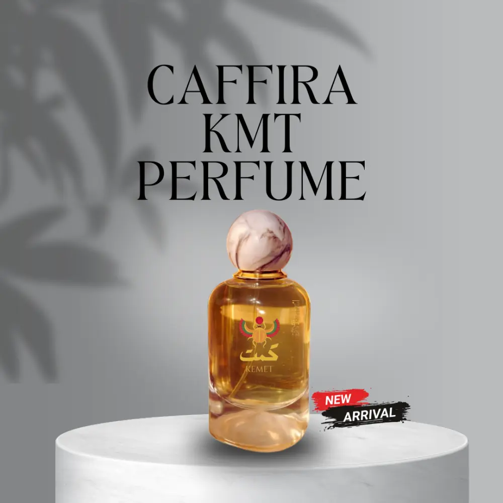 تصميمات بأستخدام Canva