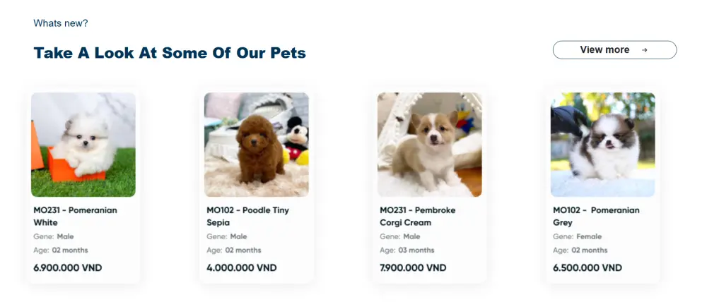 سأقوم بتصميم وتنسيق واجهة موقع جذابة باستخدام HTML وCSS