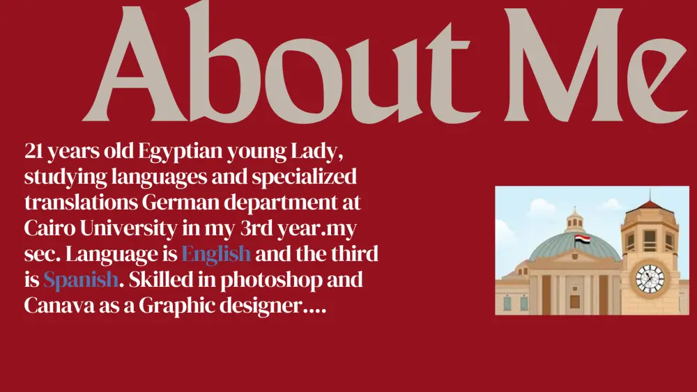 عمل portfolio إحترافى