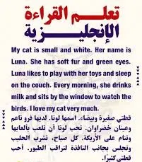 الترجمة من العربية الى الانجليزية والعكس