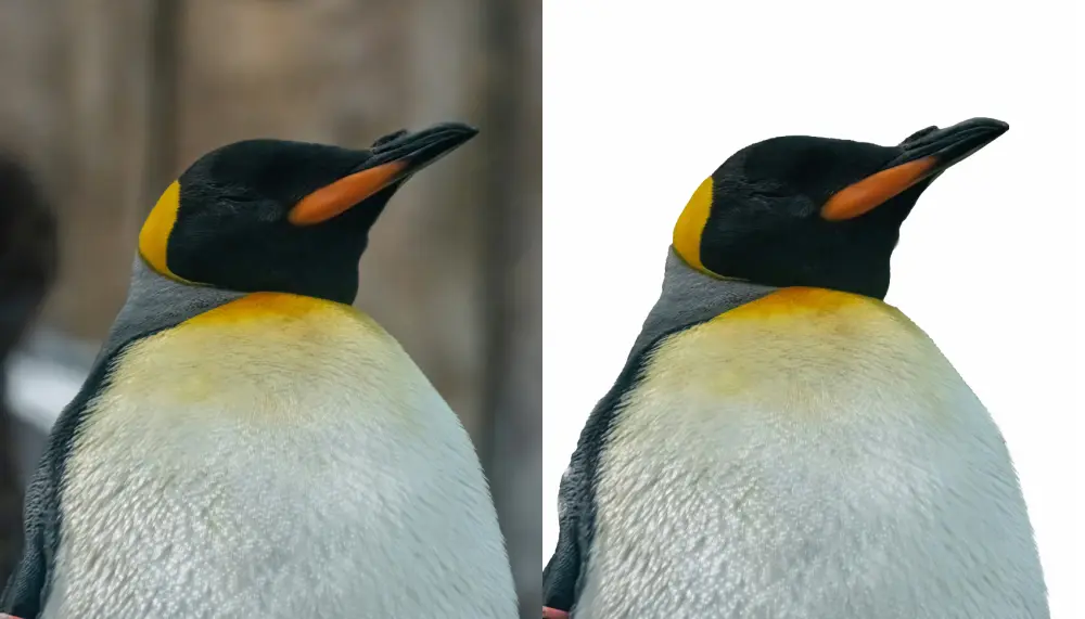 سأقوم بإزالة خلفيات الصور باحترافية وجودة عالية