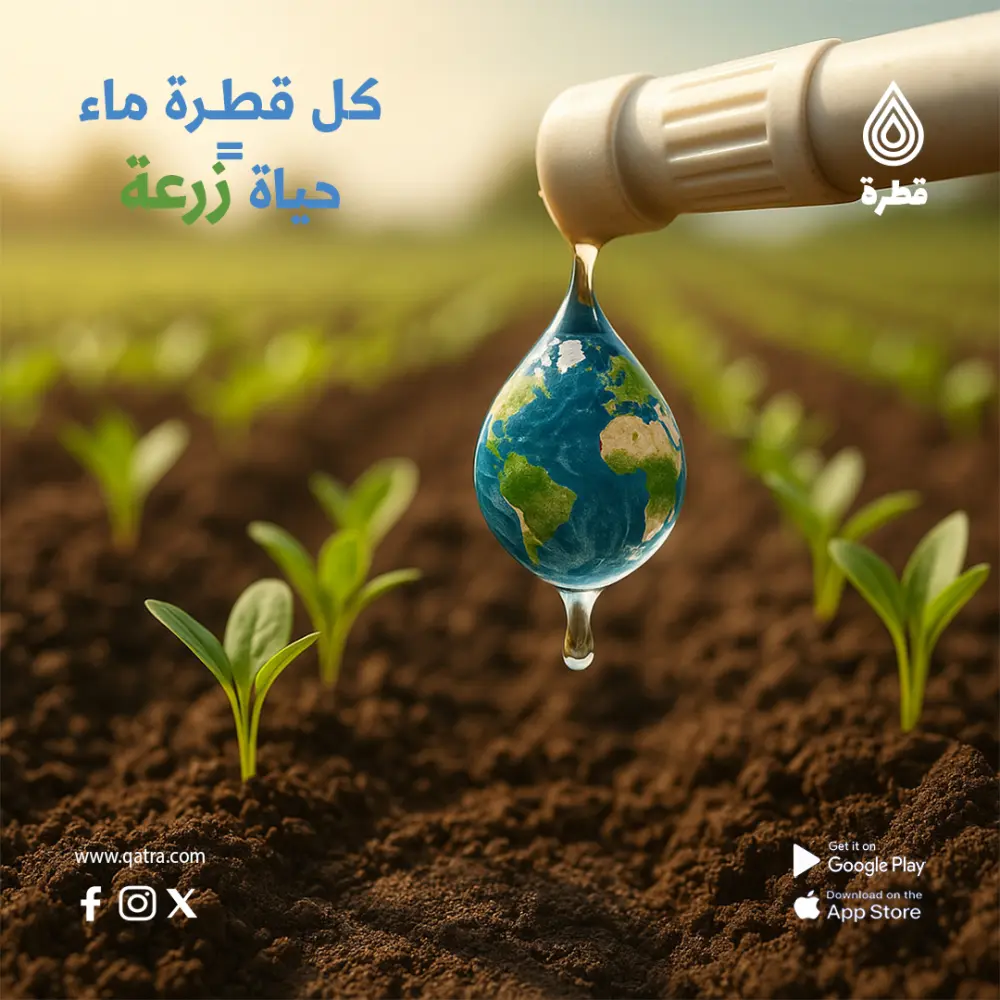 تصميم سوشيال ميديا