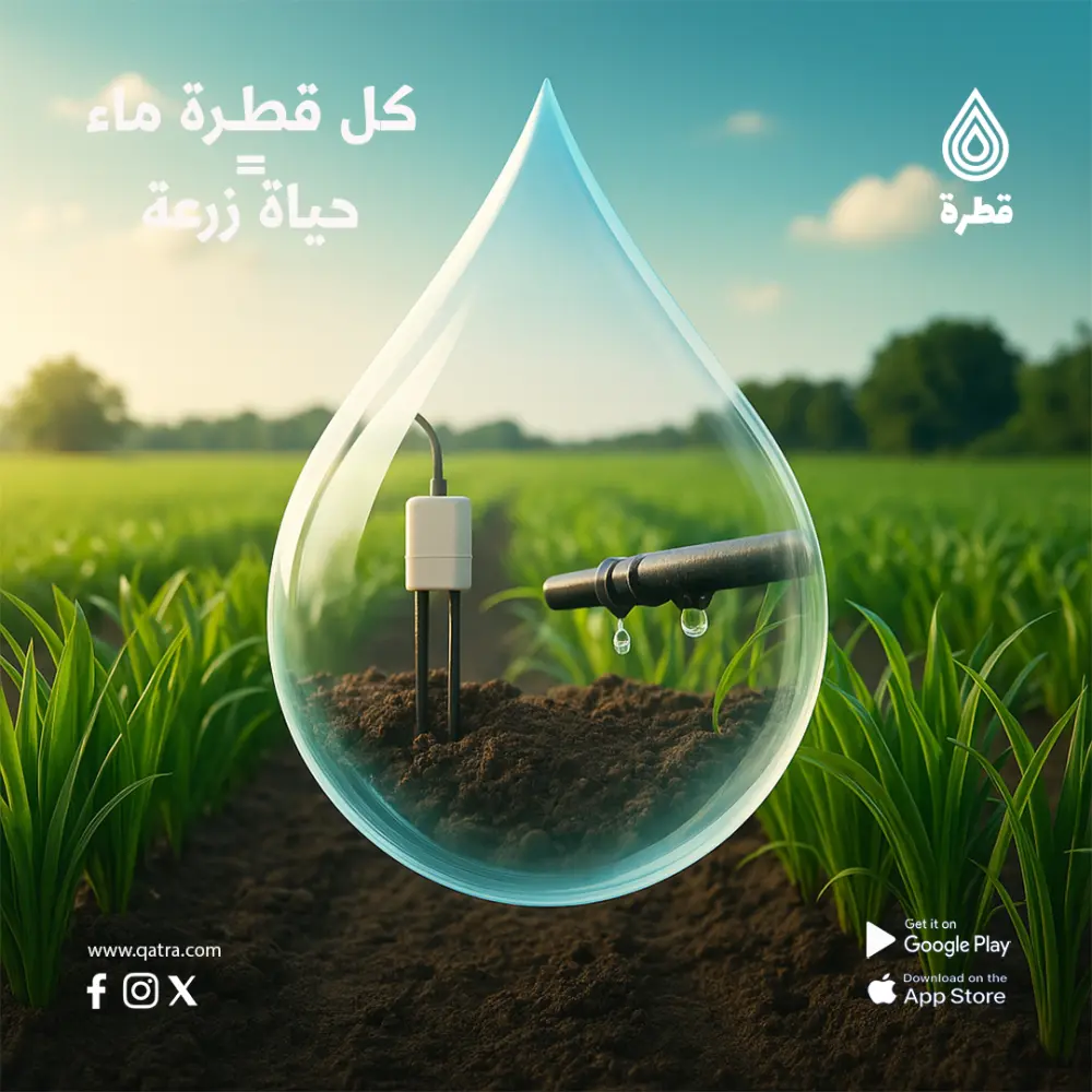 تصميم سوشيال ميديا