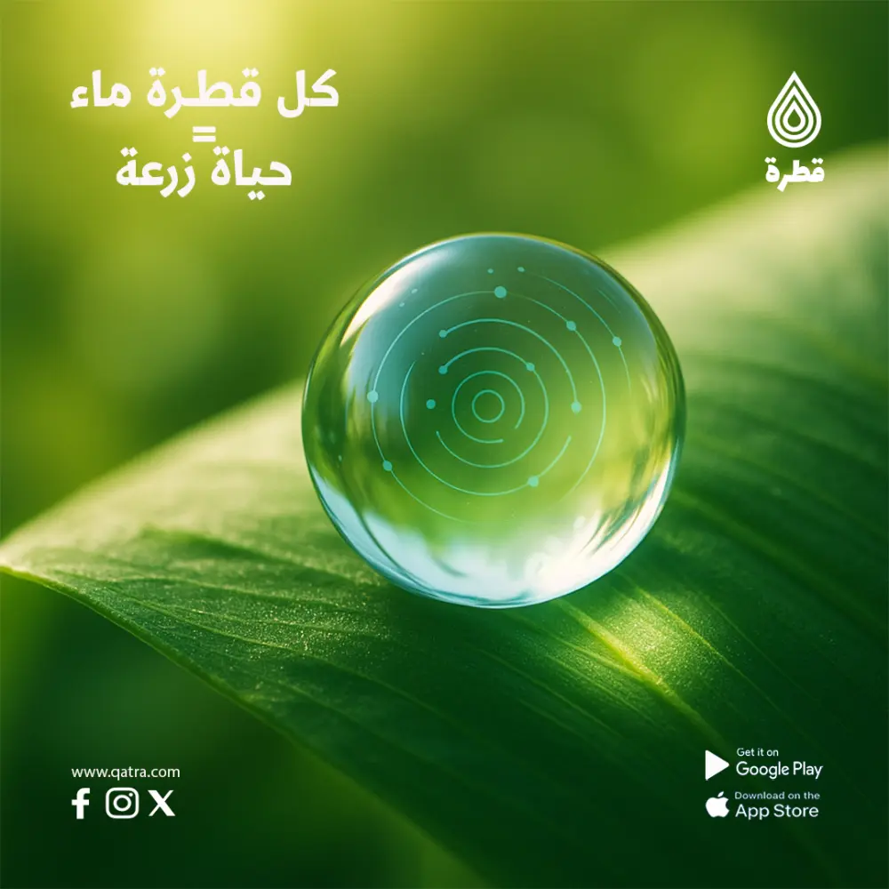 تصميم سوشيال ميديا