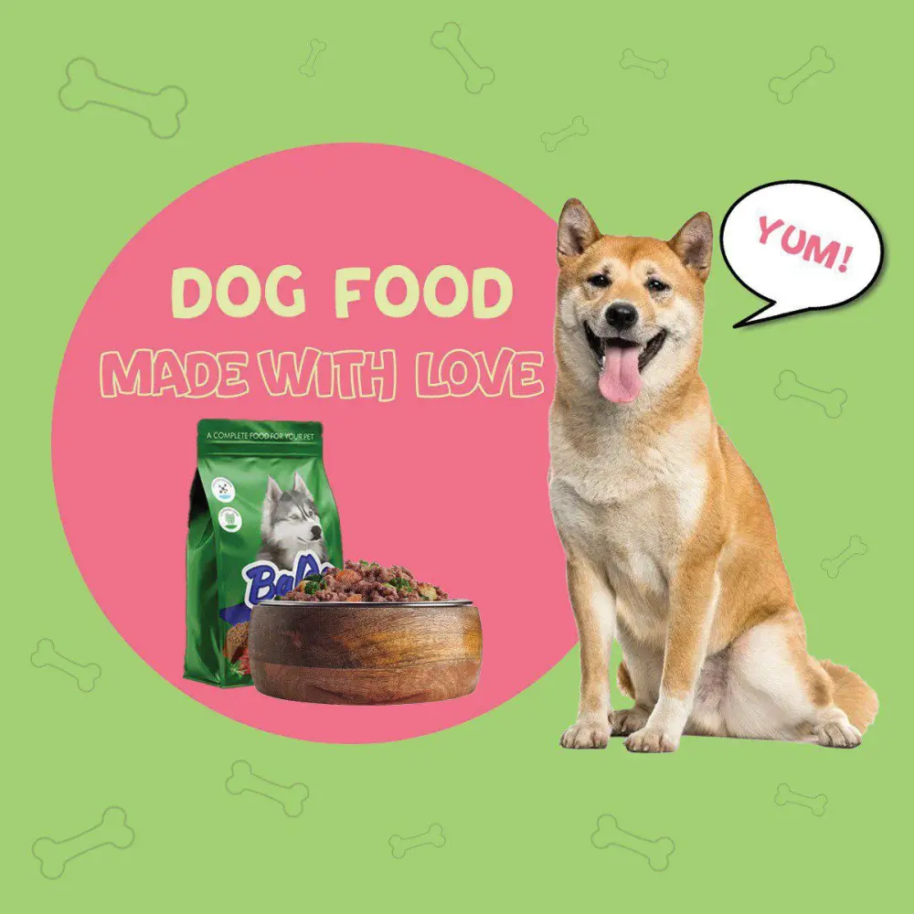 تصميم إعلانات ومنشورات جذابة لمواقع التواصل الاجتماعي