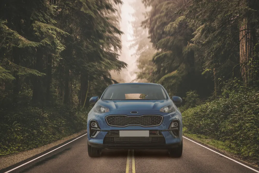 تصميم منشورات سوشيال ميديا احترافية