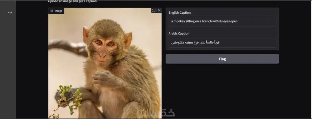 تلقّي وصف الصورة بالذكاء الاصطناعي