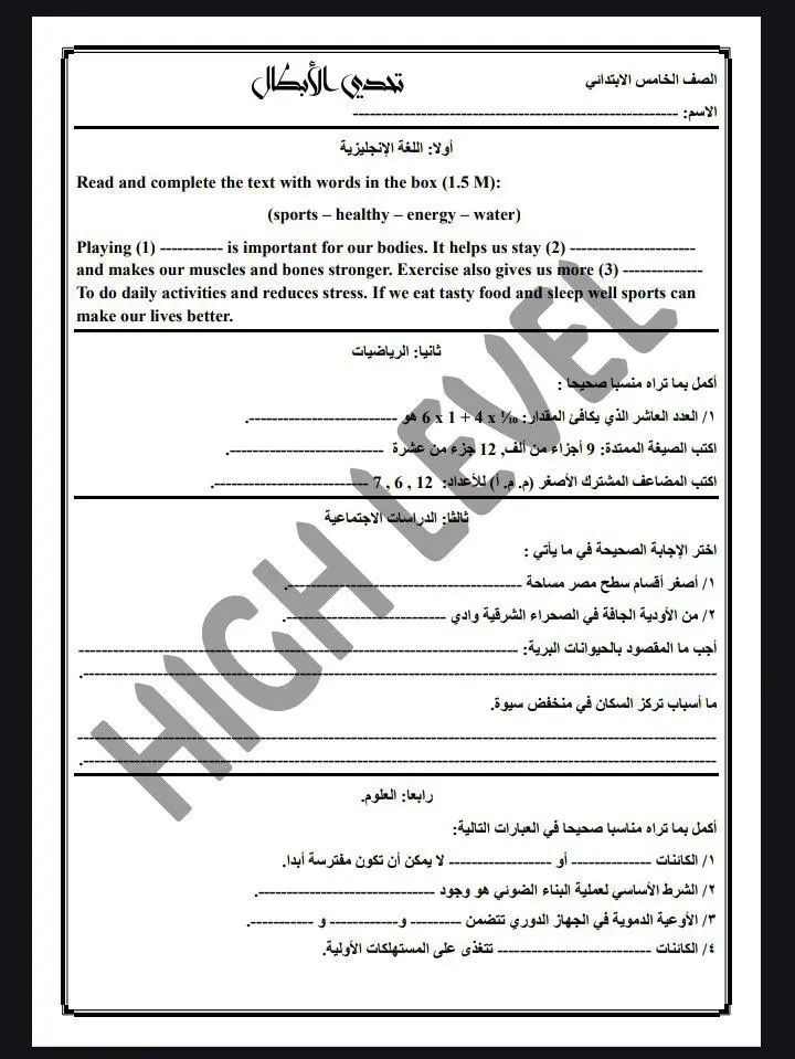 كتابة أبحاث ومستندات وورد احترافية