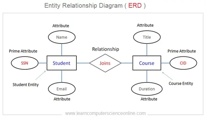 تصميم وإنشاء قواعد بيانات Database Design