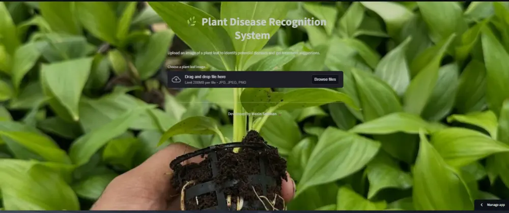 بناء Dashboard تفاعلي لعرض وتحليل البيانات باستخدام Python و Streamlit.