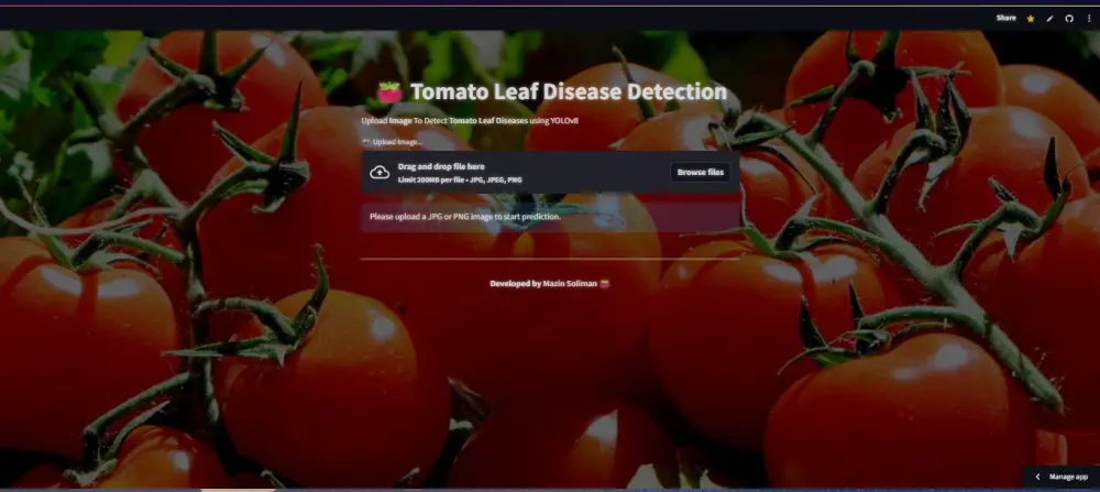 بناء Dashboard تفاعلي لعرض وتحليل البيانات باستخدام Python و Streamlit.