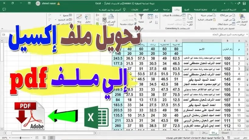 مدخل بيانات على Excel او Word بسرعة ودقة عالية و تفريغ PDF