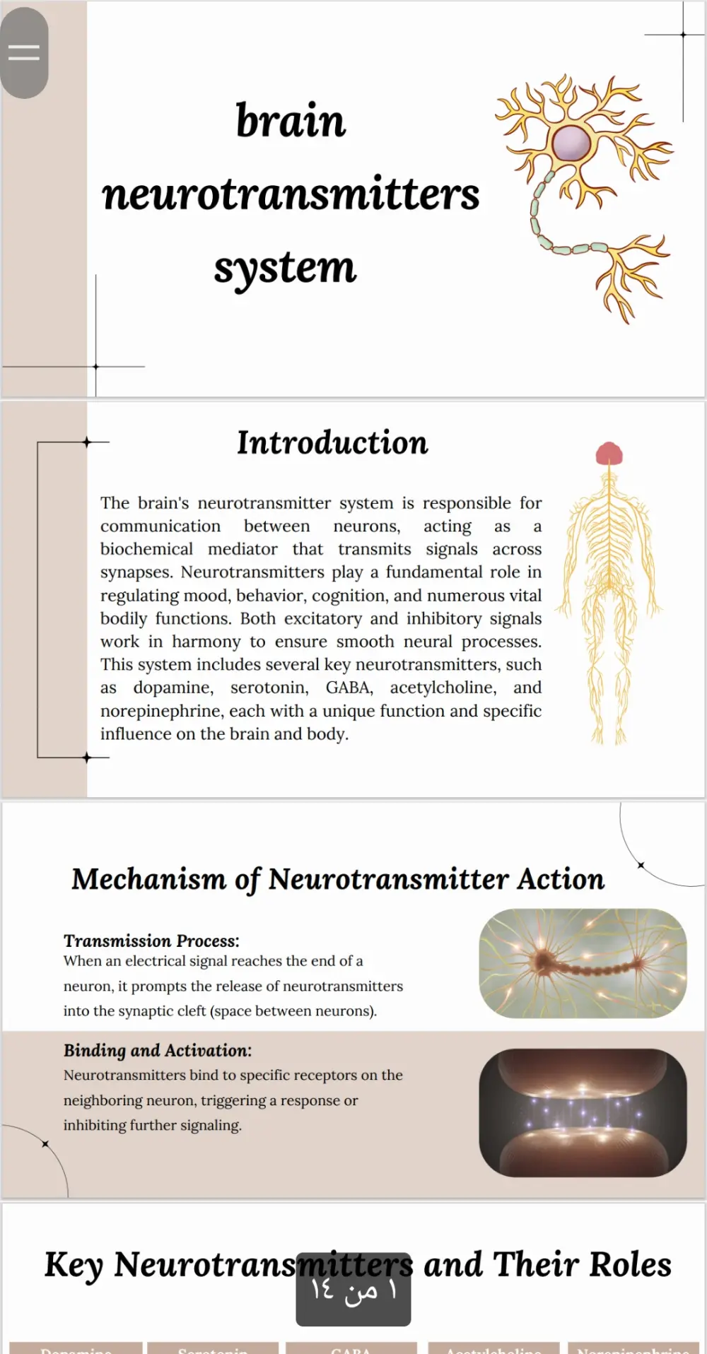 " كتابة بحوث وتقارير أكاديمية وعلمية باللغتين العربية والإنجليزية"