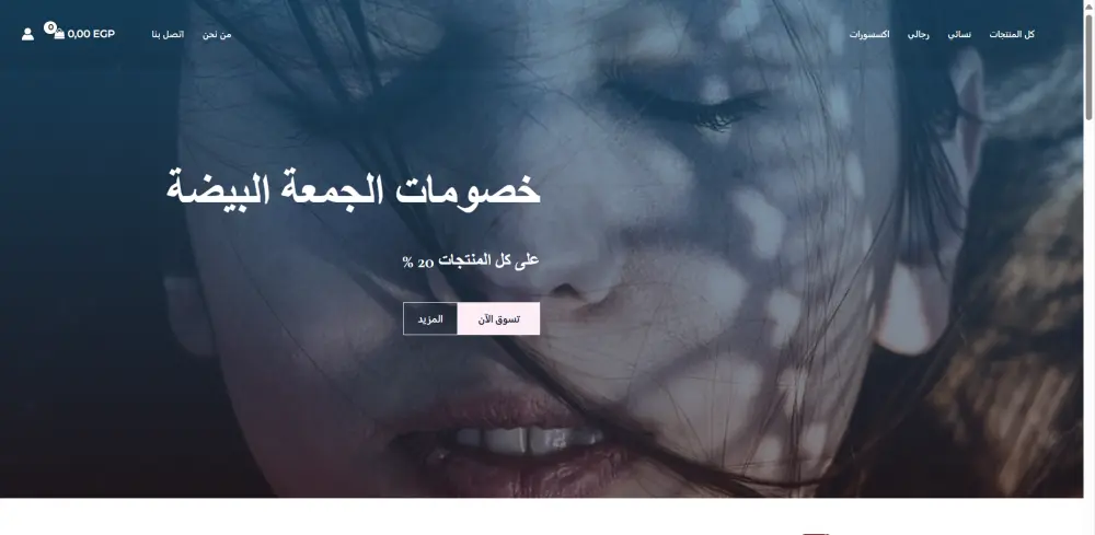 تصميم مواقع الكترونية ومدونات بالووردبريس