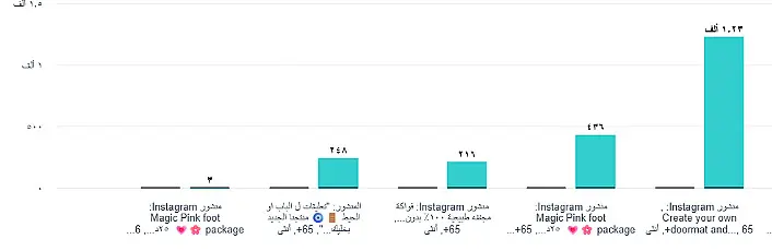 كتيب أدارة الحملات الاعلانية  ميديا باينج على السوشال ميديا وأسرار الترويج على السوشيل ميديا(أنستغرام -فيس بوك)