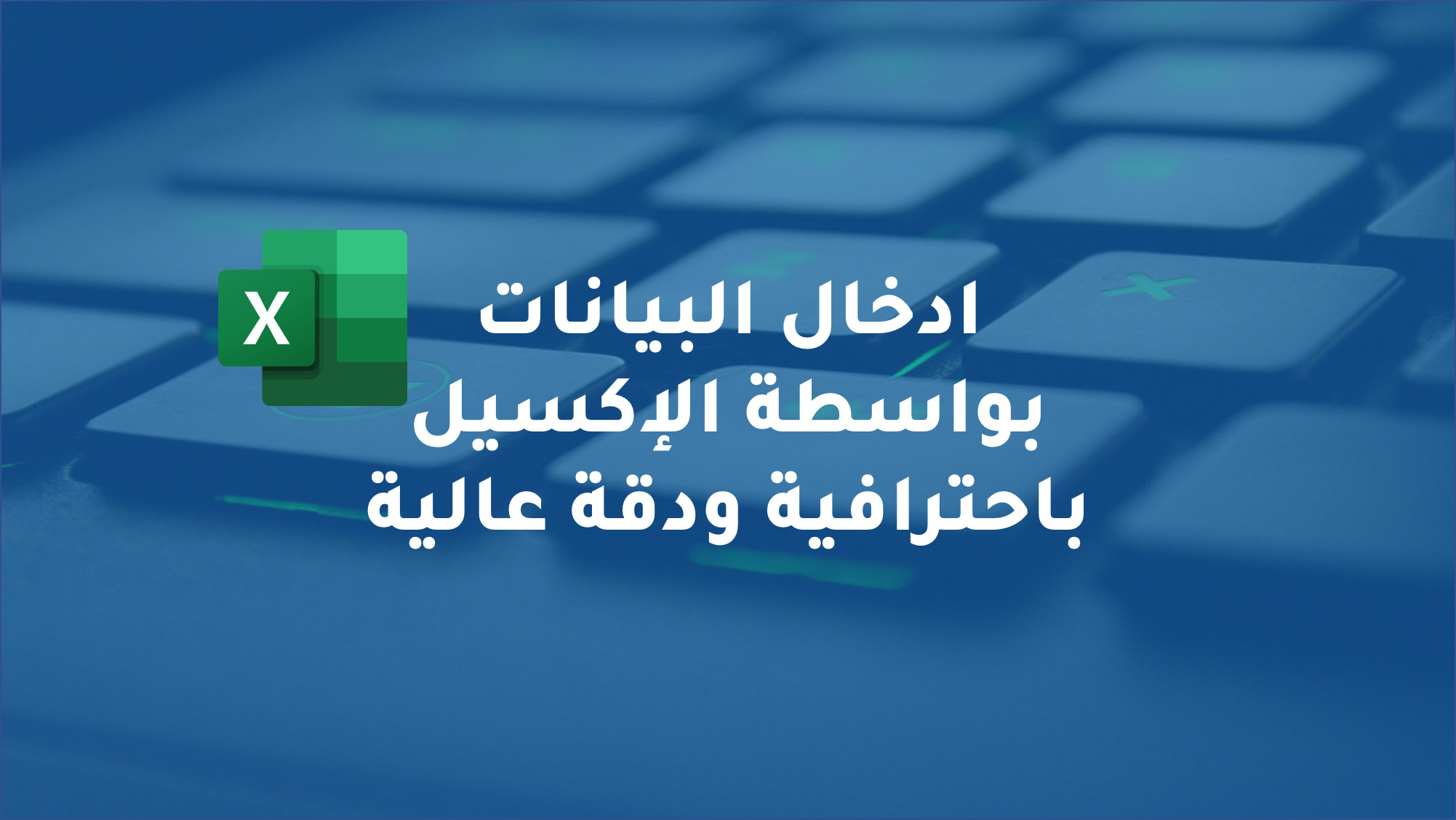 تفريع وإدخال البيانات بواسطة الإكسيل باحترافية ودقة عالية