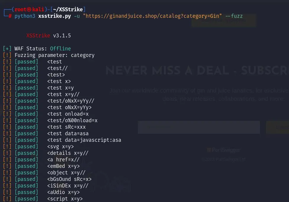اختبار اختراق مواقع وتقييم ثغرات احترافي