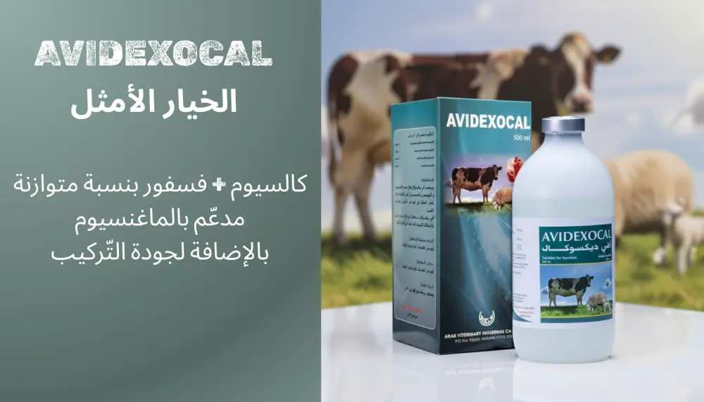 محتوى تسويقي طبّي  ( بوستات - ريياز - فيديوهات )