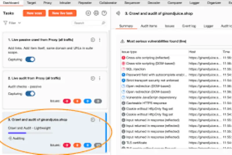 فحص أمان موقعك بأحدث الأدوات العالمية Burp Suite Pro