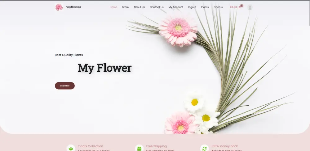 تصميم وتعديل موقع ووردبريس بالكامل حسب طلبك