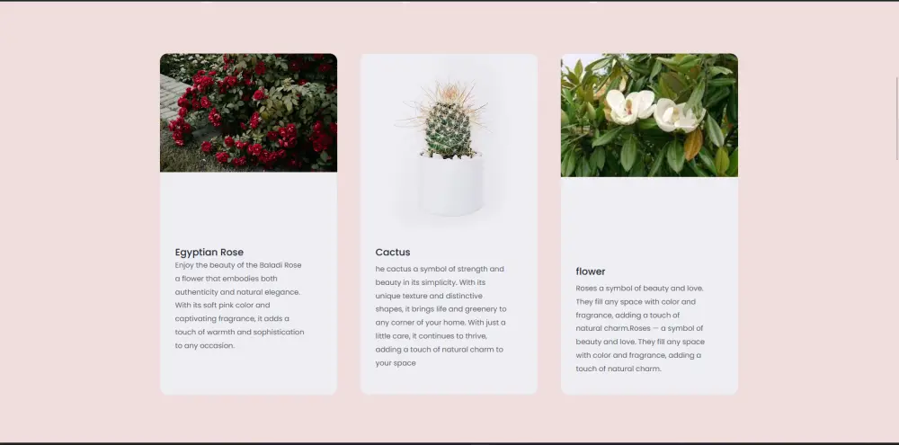 تصميم وتعديل موقع ووردبريس بالكامل حسب طلبك