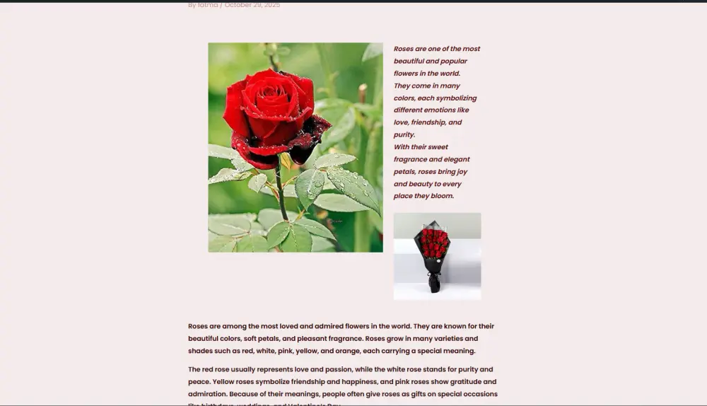 تصميم وتعديل موقع ووردبريس بالكامل حسب طلبك