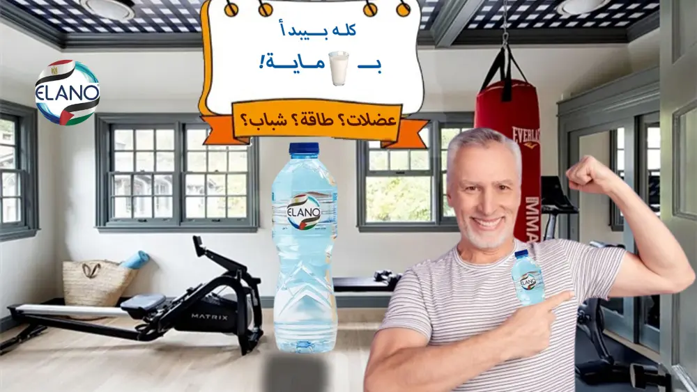 تصميم اعلانات سوشيال ميديا