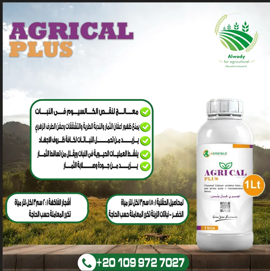 عدد 2 تصميم إعلانات سوشيال للمنتجات