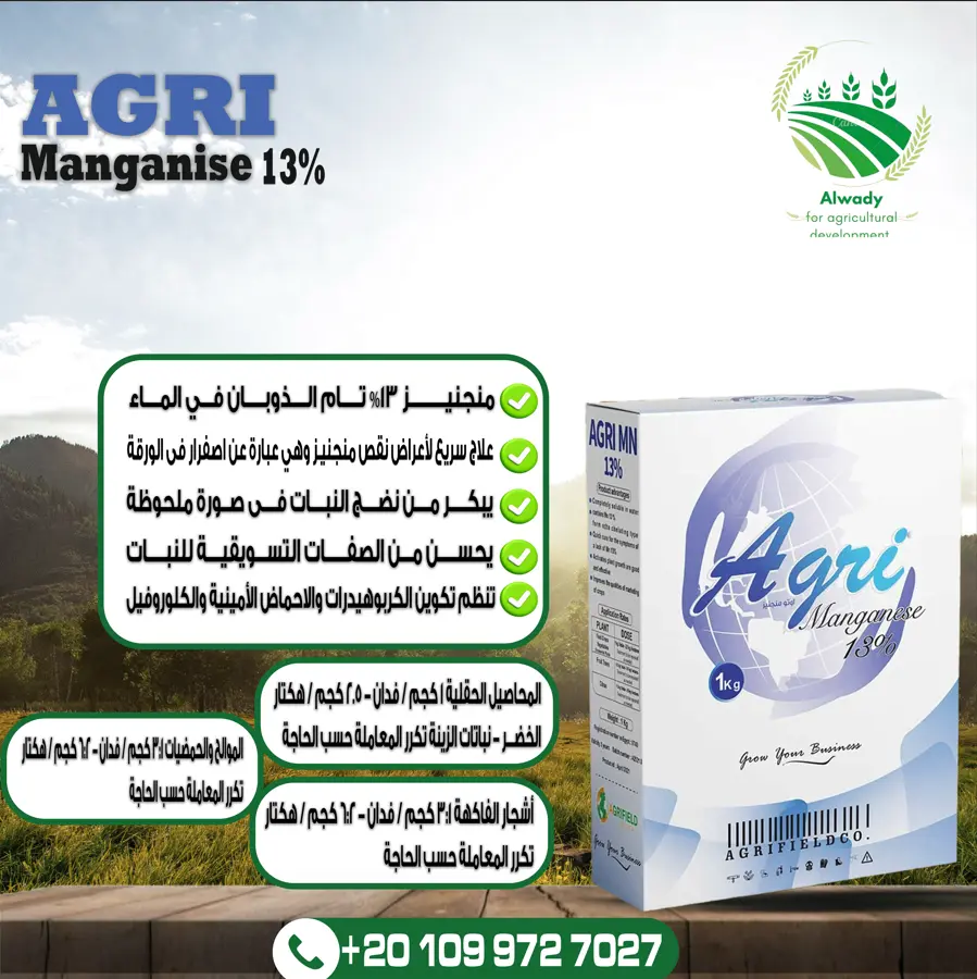 عدد 2 تصميم إعلانات سوشيال للمنتجات