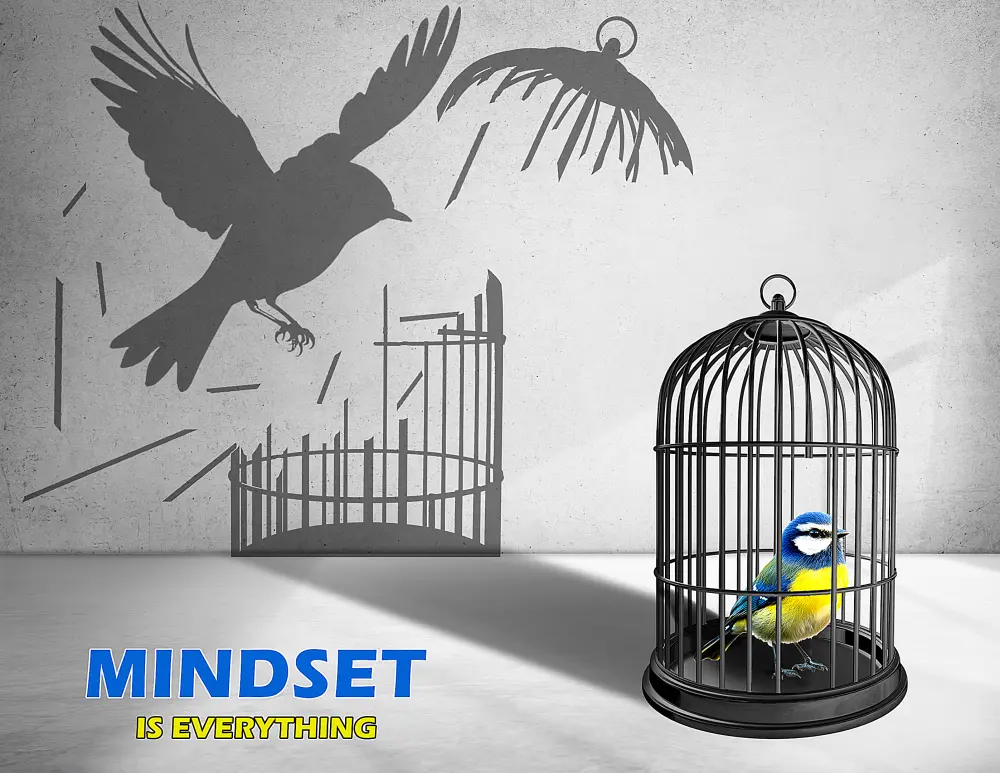 اصمم نجاحك خطوة بخطوة - بداية من أول إعلان سوشيال ميديا.