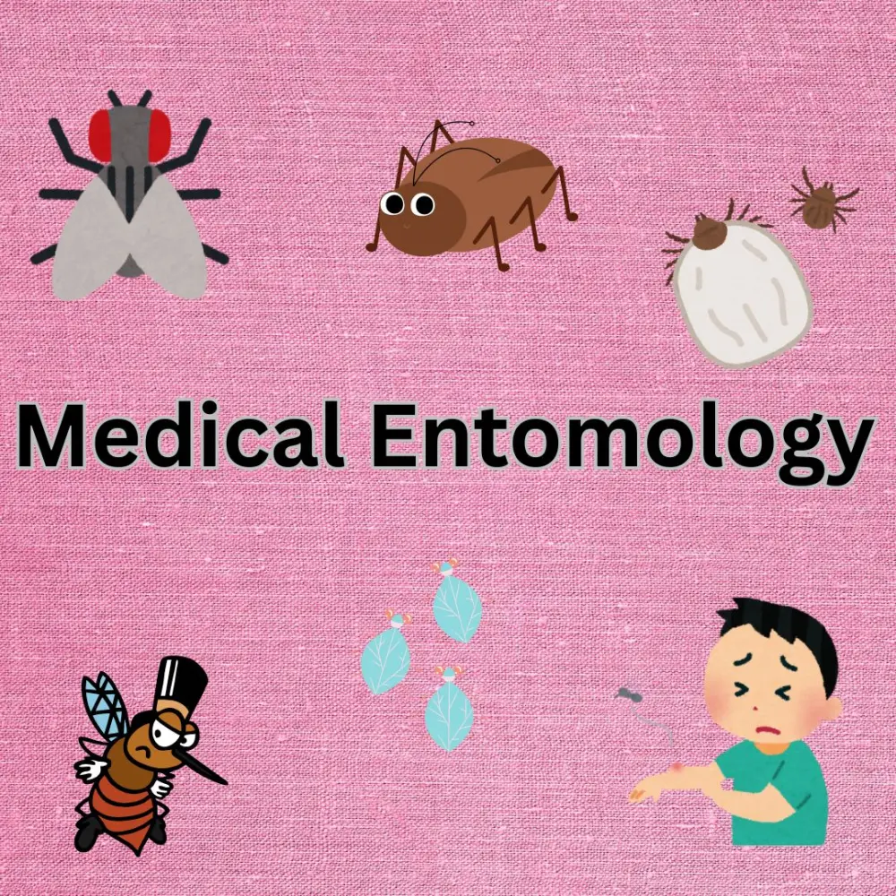 اعداد عروض تقديمه و عروض تقديميه بحثية و اكاديمية