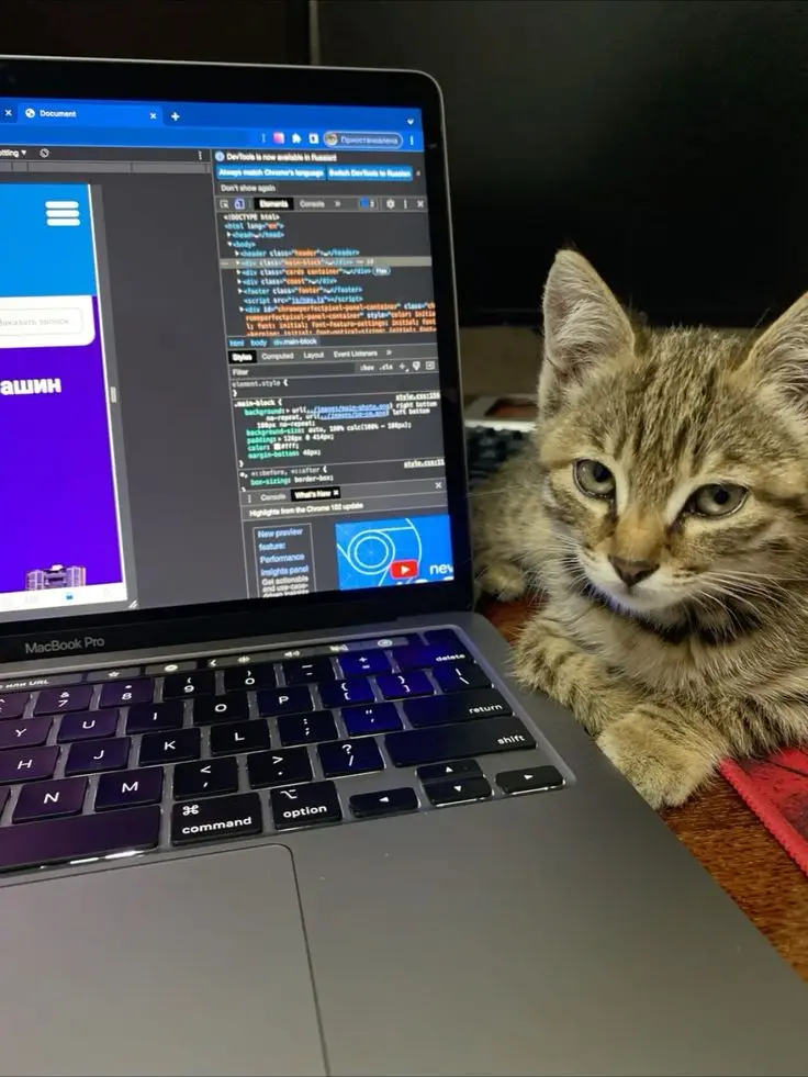 سأبرمج لك سكريبت Python ذكي لأتمتة أي مهمة مملة أو متكررة بسرعة ودقة