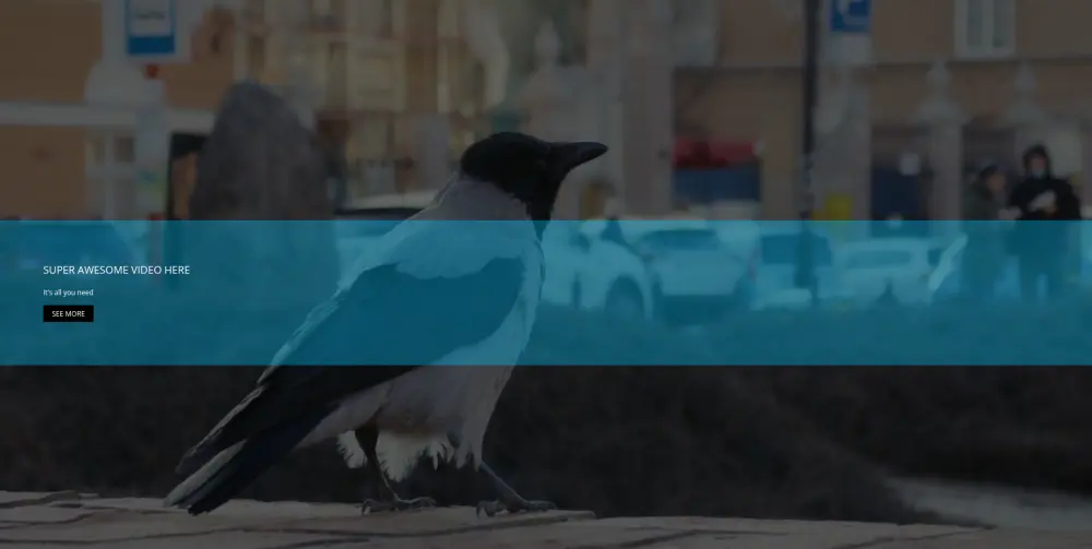 تصميم وتطوير صفحة هبوط