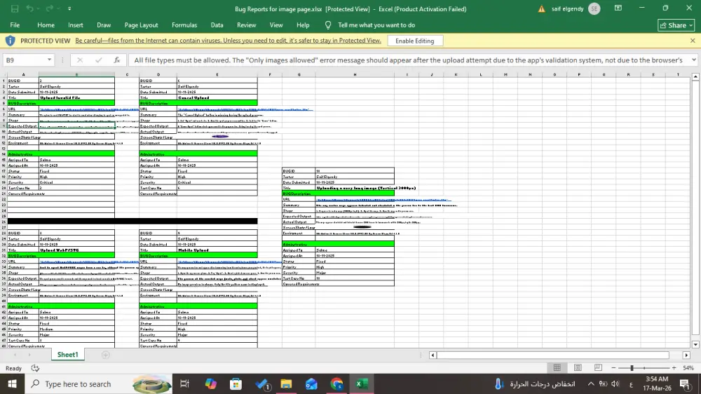 اختبار المواقع والتطبيقات واكتشاف الأخطاء | Manual Software Testing مع تقرير احترافي