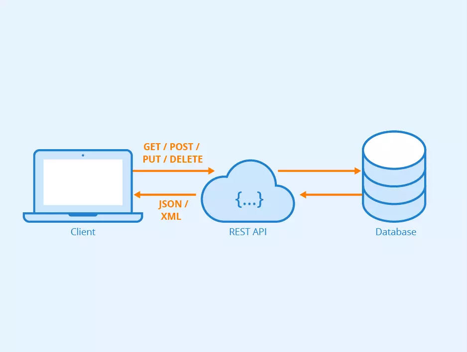 بناء داتا بيز باستخدام my sql وبناء APIs باستخدام laravel