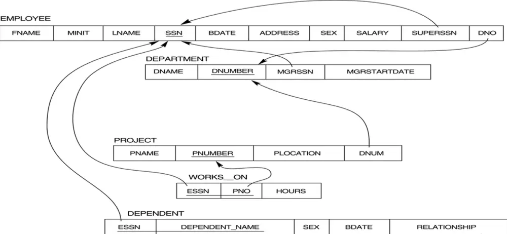 تصميم قواعد البيانات MS Sql Server