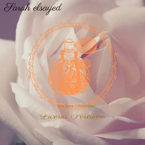 تصميم بنرات بشكل رائع و بسعر منخفض.