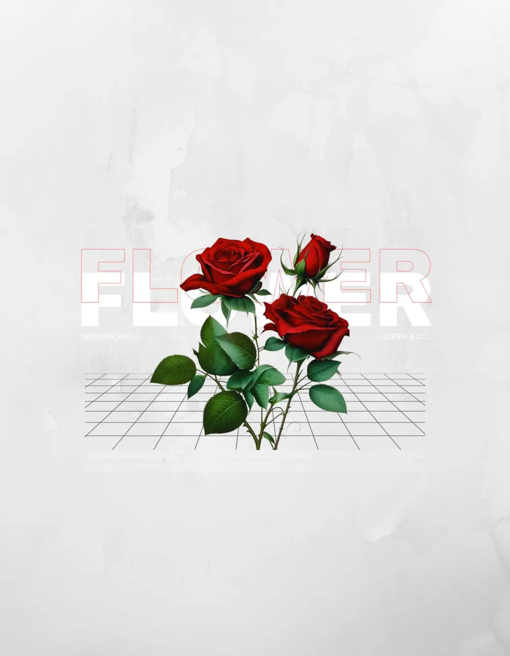 تصميم بنرات بشكل رائع و بسعر منخفض.