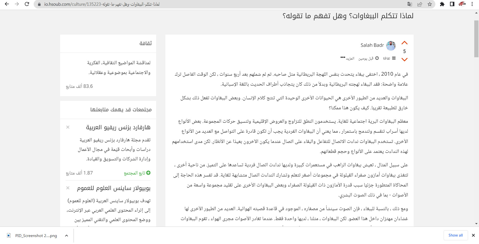 كتابه مقالات ابداعيه