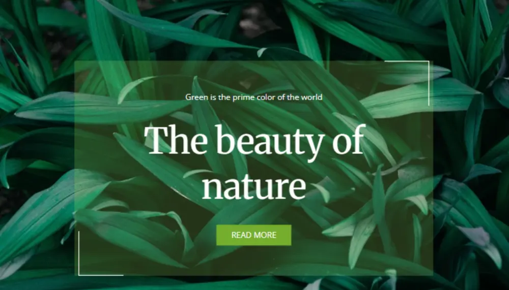 تصميم وبرمجه موقع Front-end