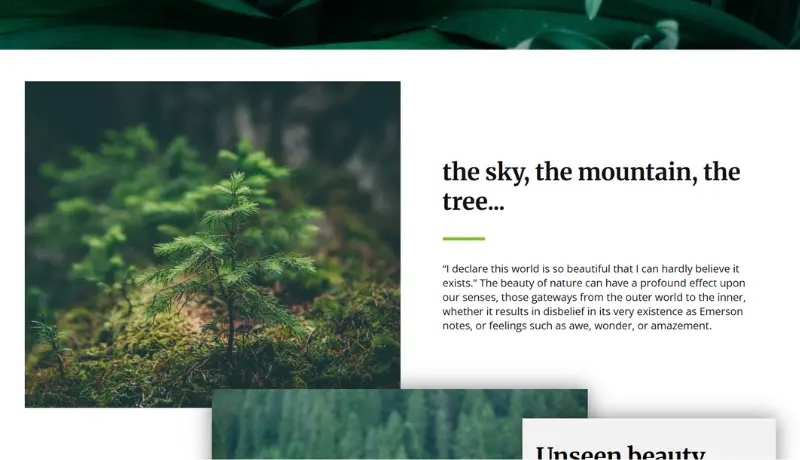 تصميم وبرمجه موقع Front-end