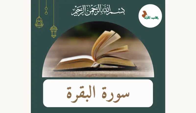 تصميم اعلانات