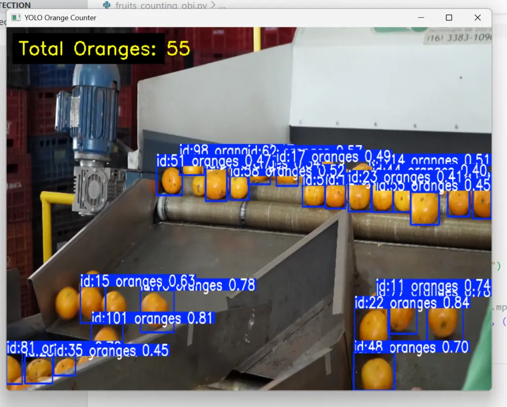 تطوير نماذج لاكتشاف الأجسام في الصور (Object Detection)