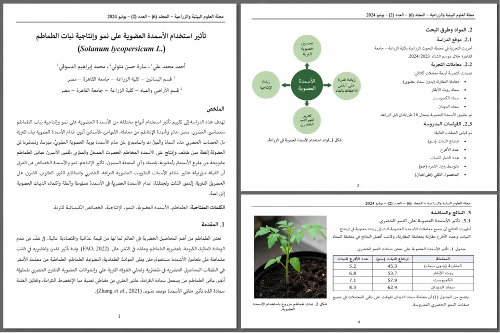 كتابة محتوى وبحوث خاصه بالدراسه