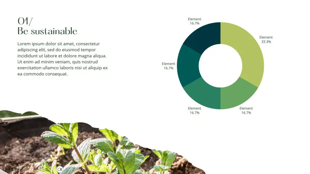 عرض تقديمي احترافي