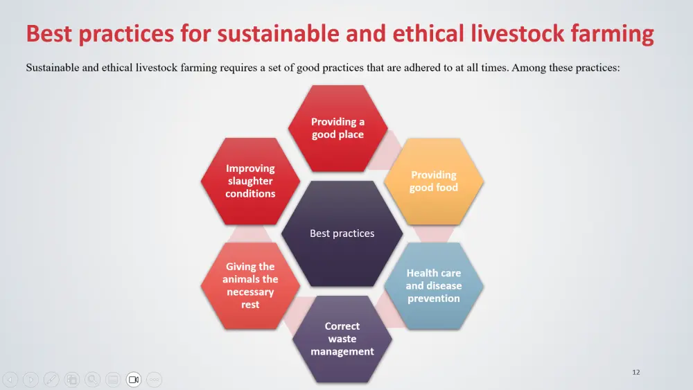 عرض تقديمي احترافي