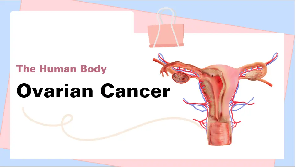 تصميم مواد طلابية كاملة جاهزة للتسليم: Brochure + Poster + PPT + Word